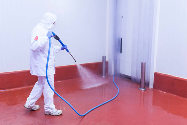 Pre-Holiday Cleaning in Watsessing, NJ